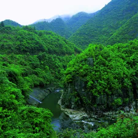 龙湾车辆违章查询