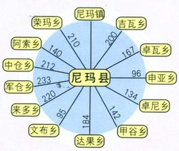 尼玛车辆违章查询