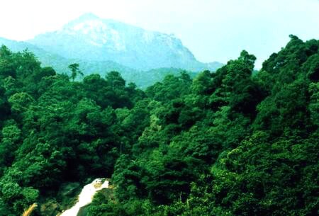 龙岩梁野山