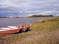 黑河大黑河岛天气