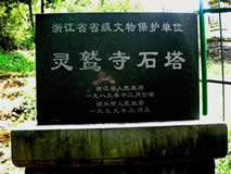 丽水灵鹫寺石塔