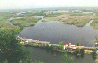 灵宝鼎湖湾天气