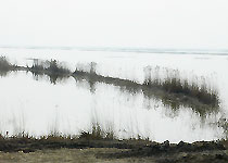 静海团泊洼水库天气