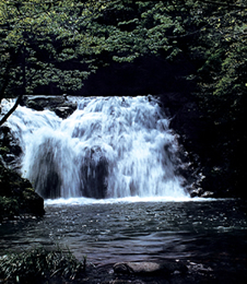 抚州资溪大觉山天气