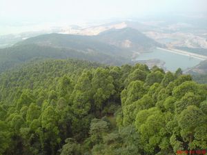 东莞水濂山天气