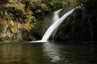 桂林灵川天气