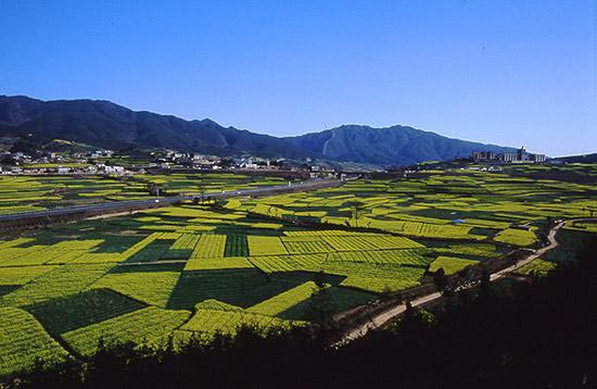 玉溪曲陀关天气